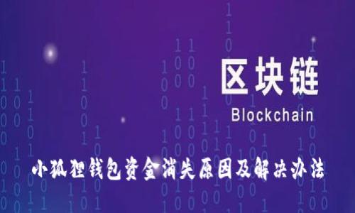 小狐狸钱包资金消失原因及解决办法