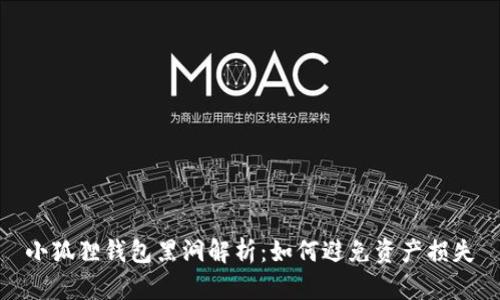 小狐狸钱包黑洞解析：如何避免资产损失