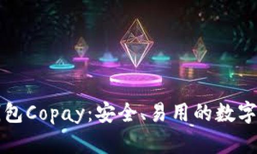 比特币手机钱包Copay：安全、易用的数字货币管理工具