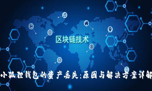 小狐狸钱包的资产丢失:原因与解决方案详解