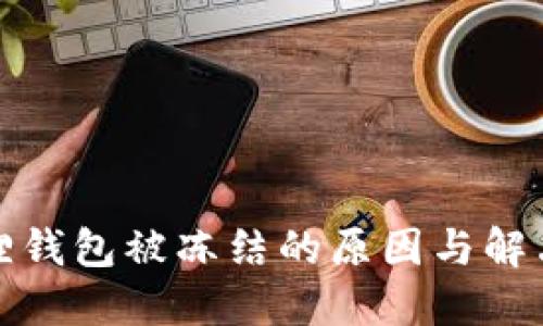 小狐狸钱包被冻结的原因与解决方案