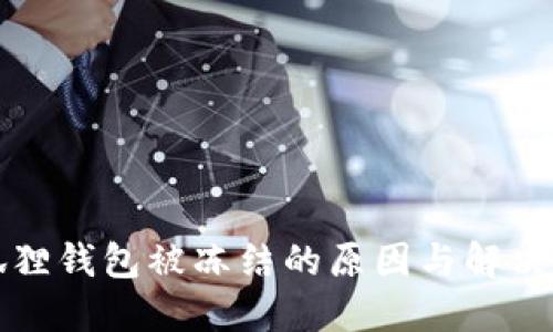 小狐狸钱包被冻结的原因与解决方案