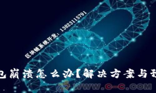 : 狗狗币钱包崩溃怎么办？解决方案与预防措施详解
