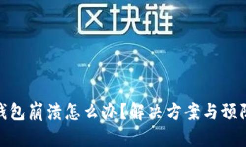 : 狗狗币钱包崩溃怎么办？解决方案与预防措施详解