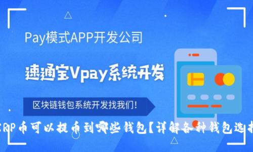 XRP币可以提币到哪些钱包?详解各种钱包选择