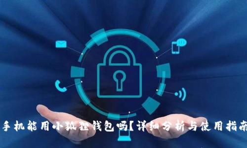手机能用小狐狸钱包吗？详细分析与使用指南