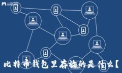  比特币钱包里存放的是什