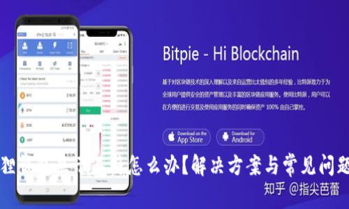 小狐狸钱包显示不符怎么办？解决方案与常见问题解析