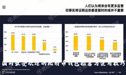 国内最受欢迎的比特币钱包推荐与使用技巧