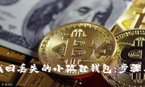 如何找回丢失的小狐狸钱包：步骤与建议