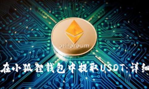 如何在小狐狸钱包中提取USDT：详细指南