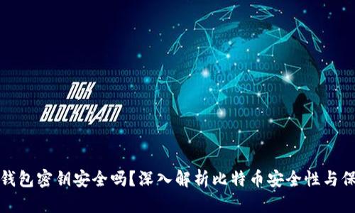 比特币钱包密钥安全吗？深入解析比特币安全性与保护措施