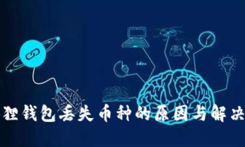 小狐狸钱包丢失币种的原因与解决方法