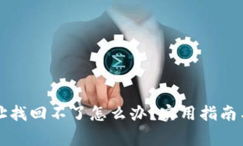 比特币钱包地址找回不了怎么办？实用指南与常见问题解析