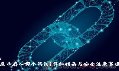 :
屎币存入哪个钱包？详细指南与安全注意事项