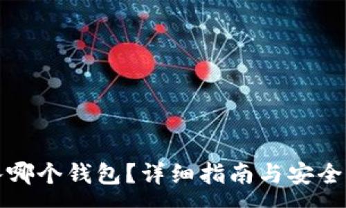 :
屎币存入哪个钱包？详细指南与安全注意事项
