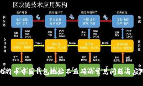 解决比特币中国钱包地址不正确的常见问题与应对策略