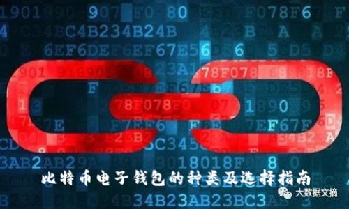 比特币电子钱包的种类及选择指南