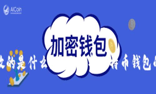 比特币钱包存放的是什么？全面解析比特币钱包的功能及安全性