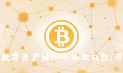 如何将币安的数字资产转入小狐狸钱包：详细步骤与技巧
