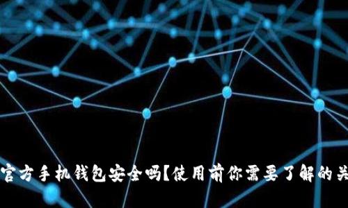 比特币官方手机钱包安全吗？使用前你需要了解的关键要点