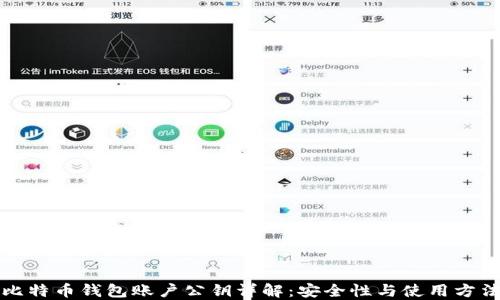
比特币钱包账户公钥详解：安全性与使用方法