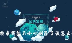 比特币钱包不小心删除了