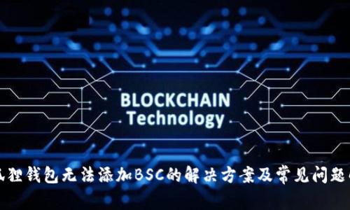 小狐狸钱包无法添加BSC的解决方案及常见问题解析