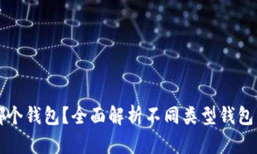 屎币存哪个钱包？全面解析不同类型钱包的优缺点