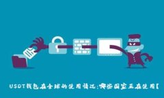  USDT钱包在全球的使用情况
