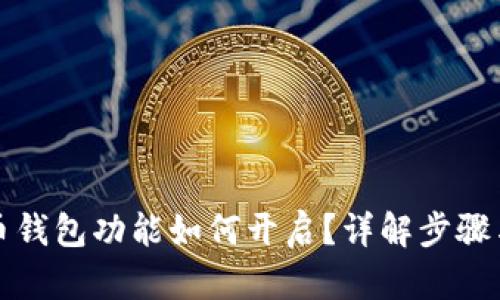 比特币钱包功能如何开启？详解步骤与技巧