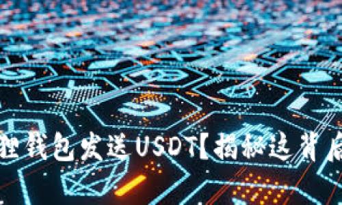如何轻松使用小狐狸钱包发送USDT?揭秘这背后的简单步骤与技巧