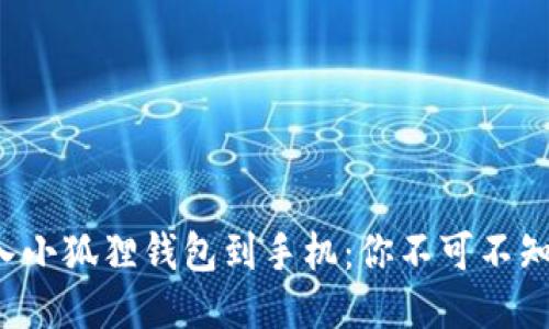 轻松导入小狐狸钱包到手机：你不可不知的秘籍！