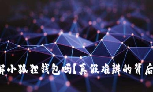 你真的了解小狐狸钱包吗？真假难辨的背后真相揭晓！