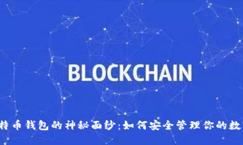 揭开比特币钱包的神秘面纱：如何安全管理你的数字资产？