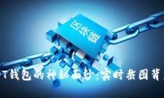 揭开USDT钱包的神秘面纱：