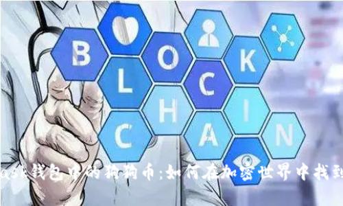 探索MetaMask钱包中的狗狗币：如何在加密世界中找到财富的钥匙