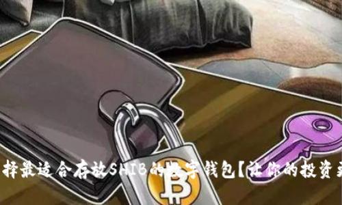 如何选择最适合存放SHIB的数字钱包？让你的投资更安全！