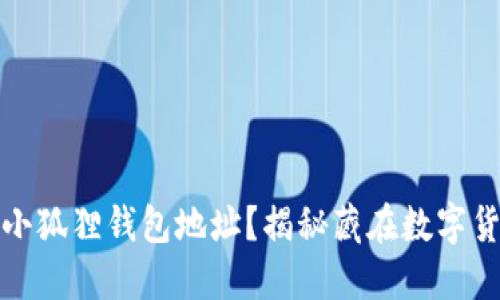 如何轻松找到小狐狸钱包地址？揭秘藏在数字货币背后的秘密