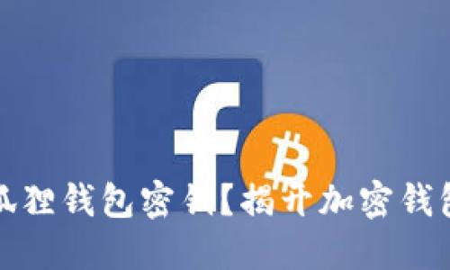 如何找到小狐狸钱包密钥？揭开加密钱包的神秘面纱