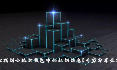 如何轻松找到小狐狸钱包中的私钥信息？专家分享最实用技巧