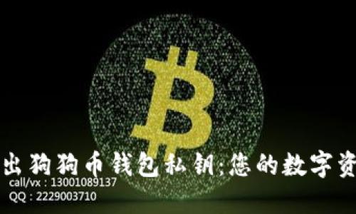 如何安全导出狗狗币钱包私钥：您的数字资产保护指南
