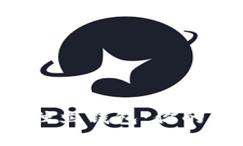 : 揭秘！USDT的独立钱包：你的资金安全守护者