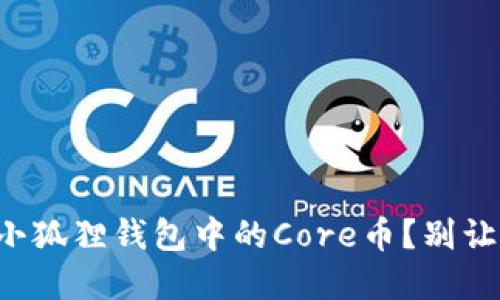 如何找回小狐狸钱包中的Core币？别让资产消失！