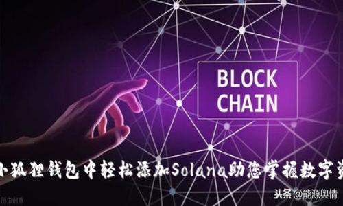 : 如何在小狐狸钱包中轻松添加Solana助您掌握数字资产的未来
