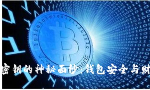 揭开比特币密钥的神秘面纱:钱包安全与财富的守护者