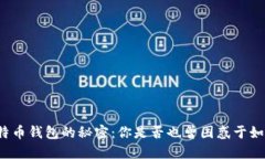 快速验证比特币钱包的秘