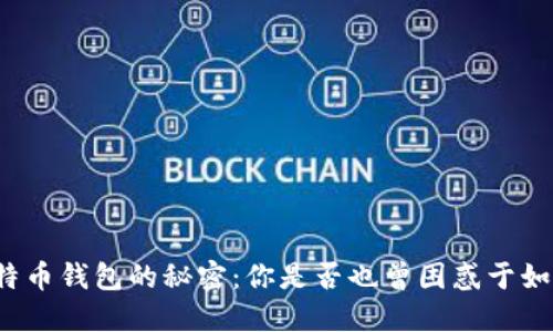 快速验证比特币钱包的秘密：你是否也曾困惑于如何确保安全？