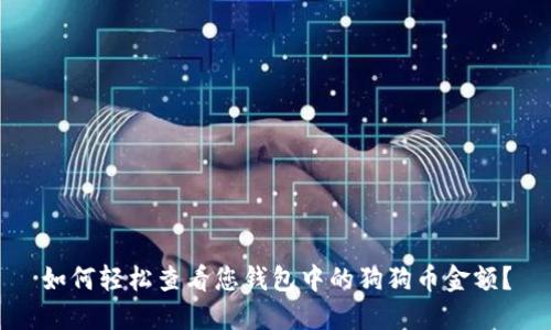 如何轻松查看您钱包中的狗狗币金额？
