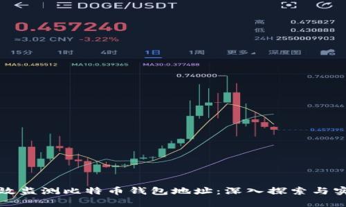 如何有效监测比特币钱包地址：深入探索与实用技巧